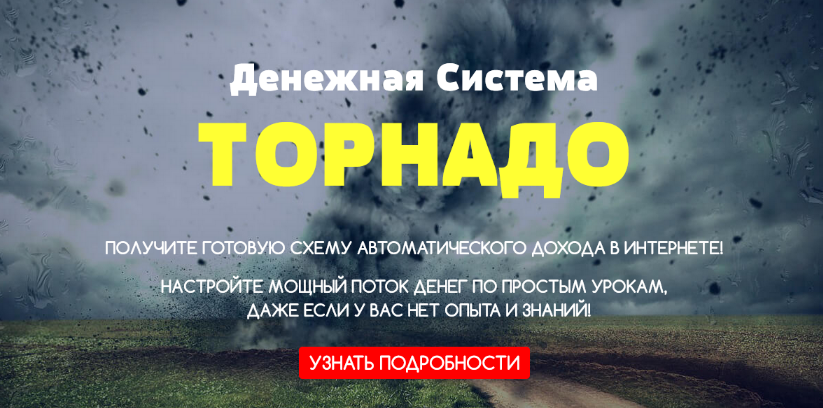 [Максим Калашник]Денежная система «Торнадо» — Зара_0.png
